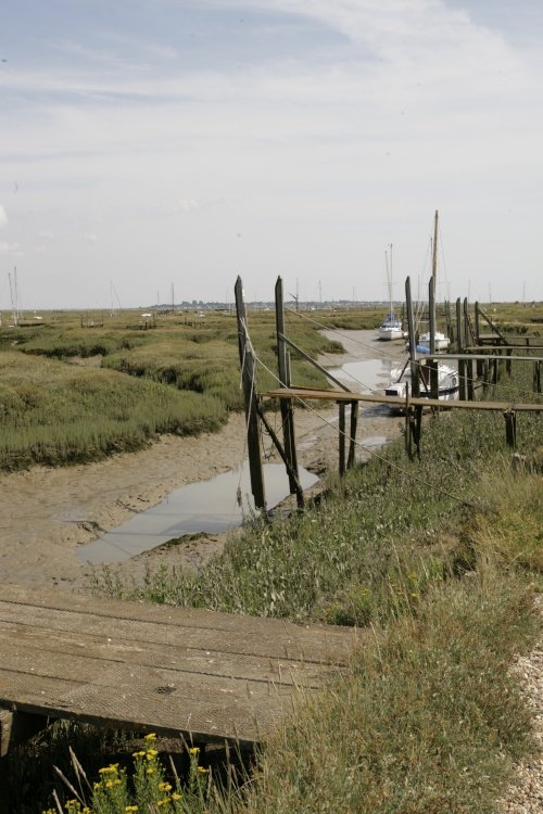 The Estuary and Creek