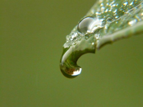 Raindrop