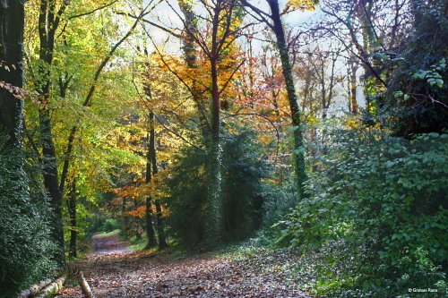 Blandford Forum in Dorset