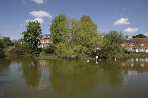 Village pond