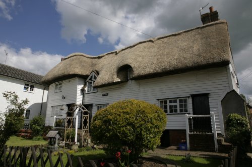 Cottage in village