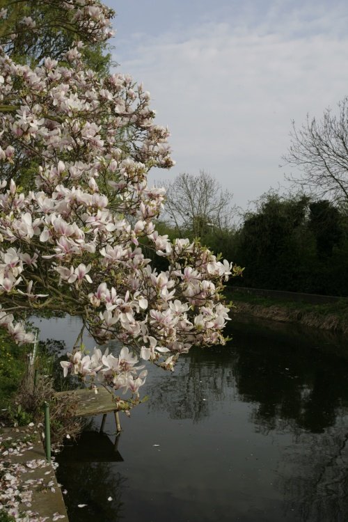 River Welland