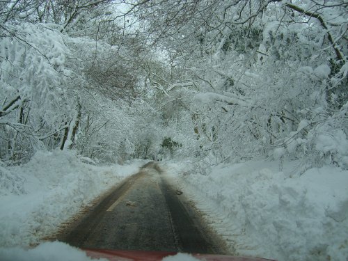 Cothelstone Hill