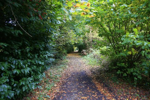 Autumn walk