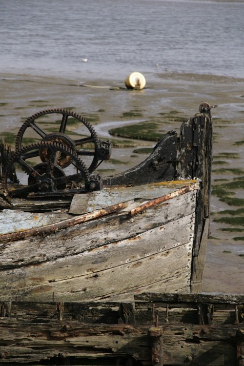 On the Estuary