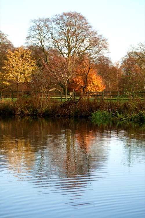 The lake at Nidd