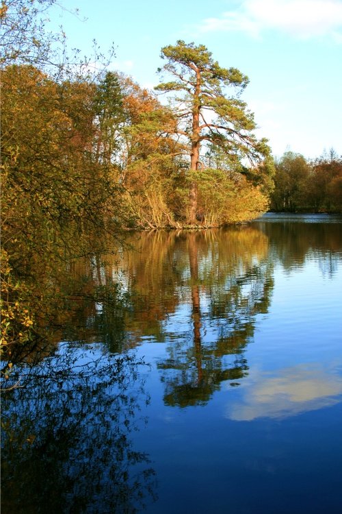 The lake at Nidd