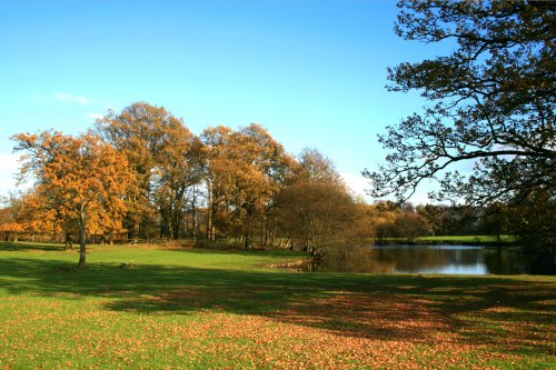 The lake and parkland at Nidd.