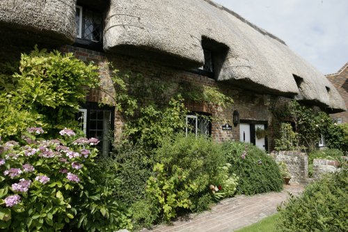 Cottage in village with  flowers and Church