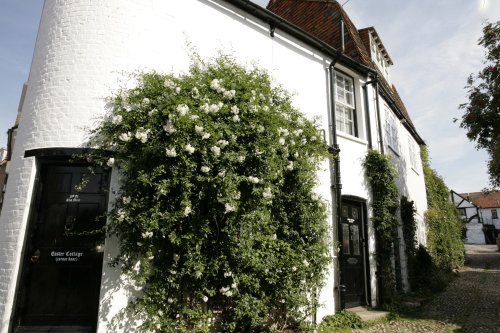 Easter cottage