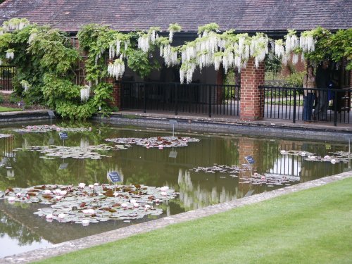 Royal Horticultural Society and gardens