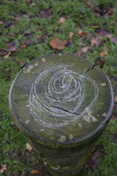 Frozen circle on wood