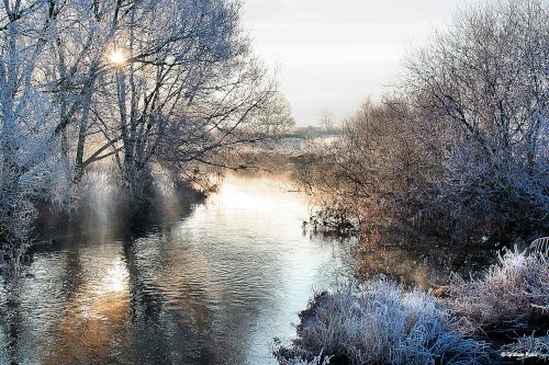 Stour Valley Winter, Shillingstone.