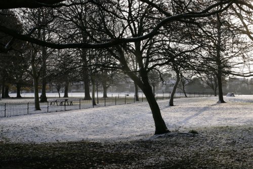 A cold snowy Rye