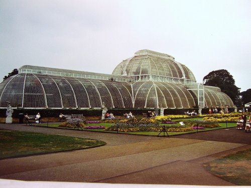 Palm House