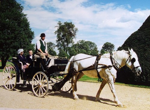 Horse and carriage