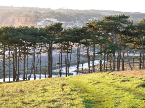 View of the Otter Estuary from the cliff tops