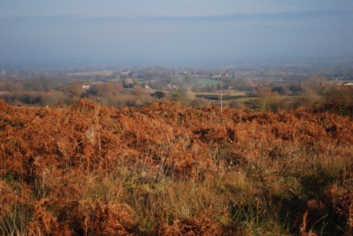 Castlemorton Common