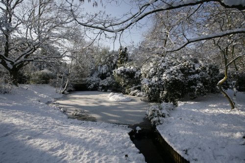 Frozen pond