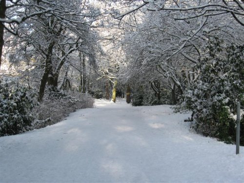 Taylor Park snow