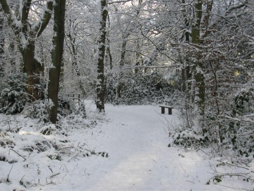 Taylor Park snow