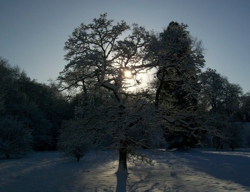 Bishops Park,Bishop Auckland,Durham 6th jan 2010