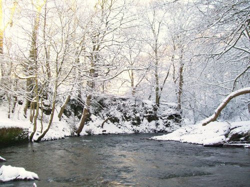 Bishops Park, Bishop Auckland, Durham 6th Jan 2010