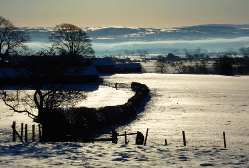 Winters Walk