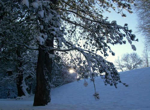 Bishops Park, Bishop Auckland, Durham 7th Jan 2010