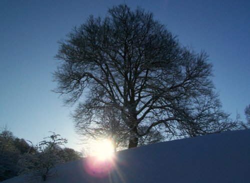 Bishops Park, Bishop Auckland, Durham 7th Jan 2010