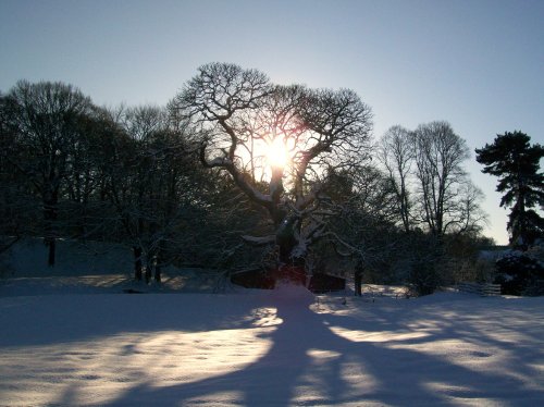 Bishops Park, Bishop Auckland, Durham 7th Jan 2010