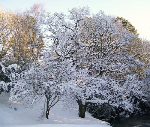 Bishops Park, Bishop Auckland, Durham 7th Jan 2010