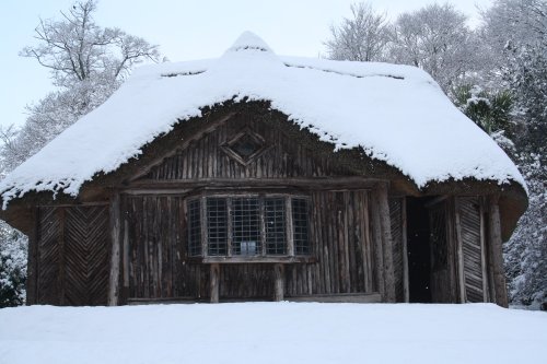 The Bear House