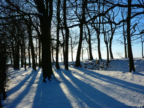 Winters walk