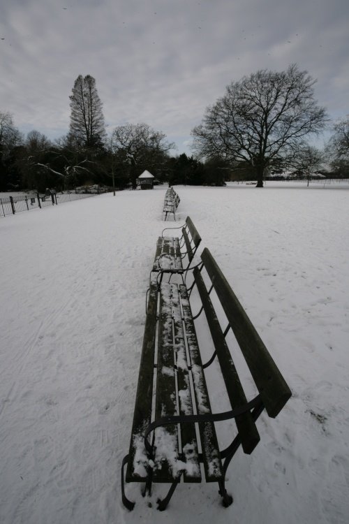 Park bench