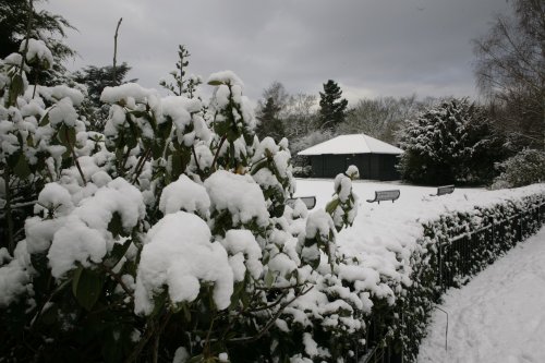 Bowling Club