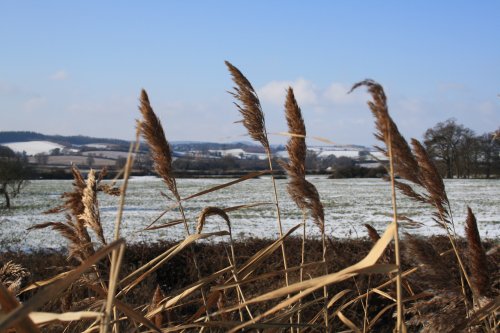 Blowing in the Wind