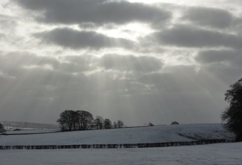 Rays black and white