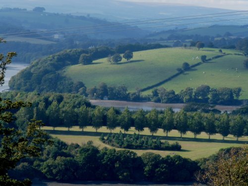 The rolling hills of Devon!