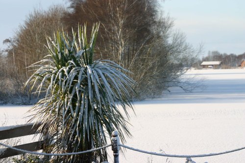 Tattershall Country Park (Waterski lake)