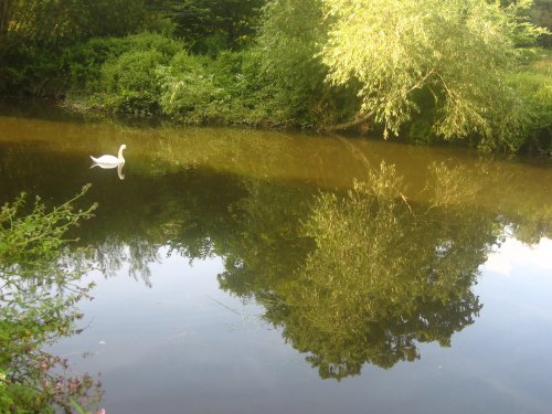 Country Park reflections