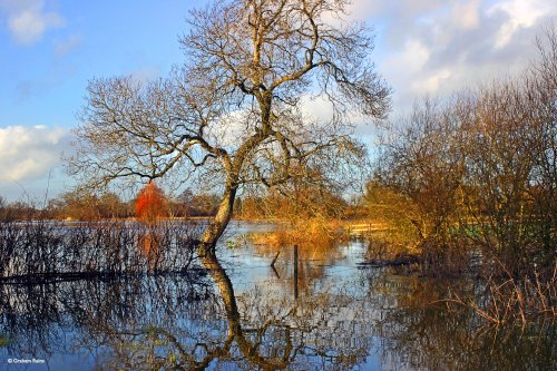 Stour Valley Winter, Shillingstone.