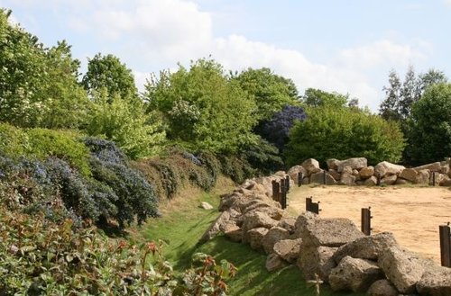 Colchester Zoo