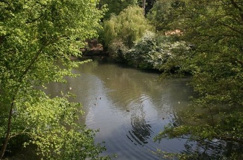 Colchester Zoo