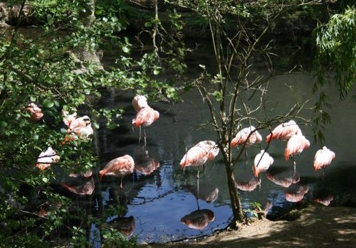 Colchester Zoo