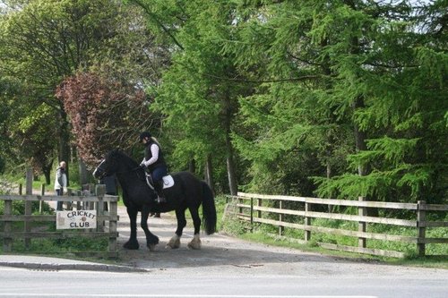 Goathland