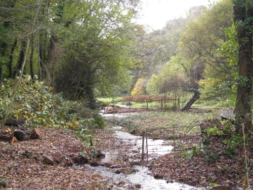 The water meadow looking back towards the entrance.