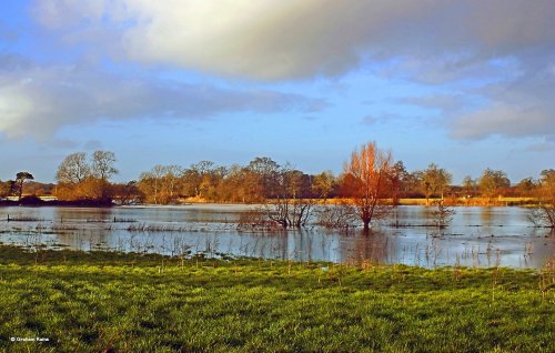 Stour Valley Winter, Shillingstone.