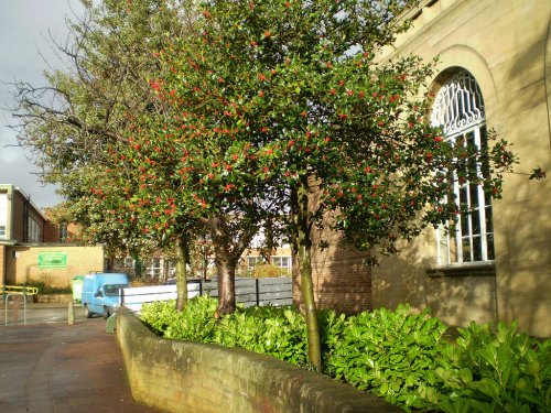 Foster Avenue, Beeston