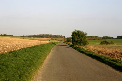 On the 'B' road  in Norfolk